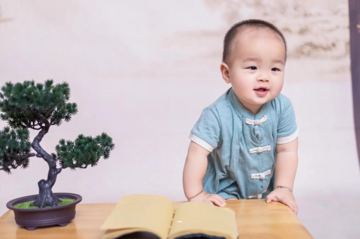 长春可爱的企鹅宝宝